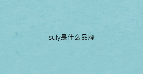 suly是什么品牌(surely品牌)