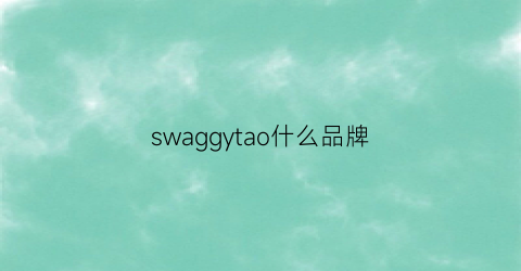 swaggytao什么品牌