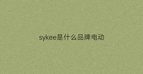 sykee是什么品牌电动(sy电动车是什么牌子)