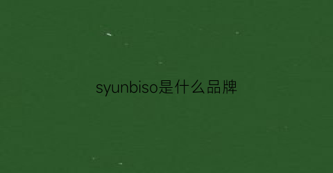 syunbiso是什么品牌(syun-lp什么牌子)