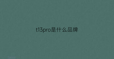 t13pro是什么品牌