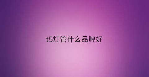 t5灯管什么品牌好