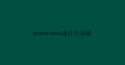 teamname是什么品牌