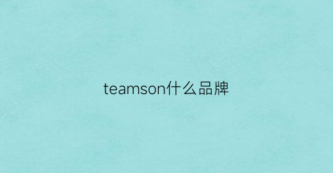 teamson什么品牌(衣服team什么牌子)