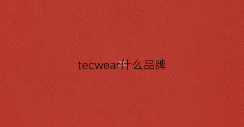 tecwear什么品牌(tech什么品牌)