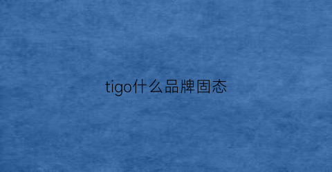 tigo什么品牌固态(ti固态硬盘)