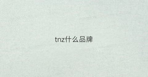 tnz什么品牌(trn什么牌子)