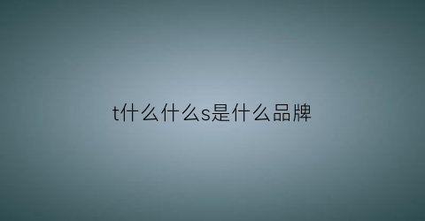 t什么什么s是什么品牌