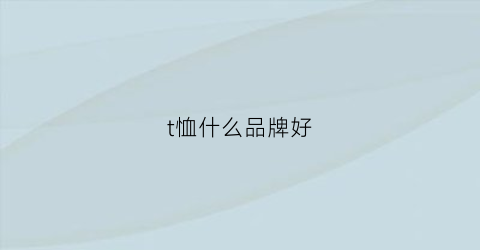 t恤什么品牌好(t恤推荐品牌)