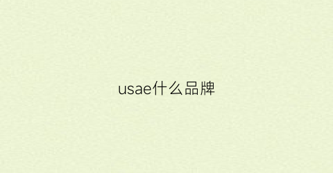 usae什么品牌(usars是什么牌子)