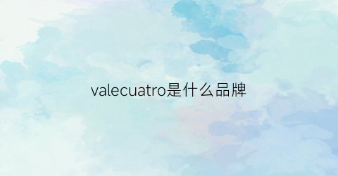 valecuatro是什么品牌