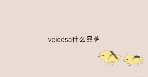 veicesa什么品牌(vesachan是什么品牌)