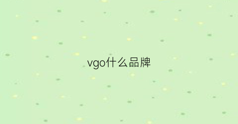 vgo什么品牌(virgo是什么品牌)