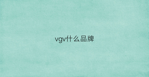 vgv什么品牌
