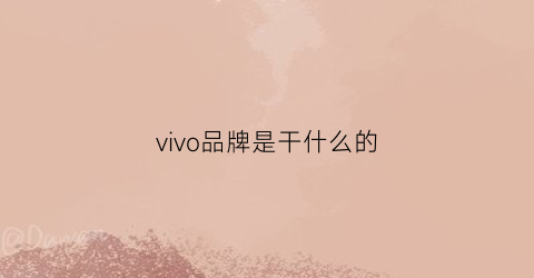 vivo品牌是干什么的(vivo品牌的含义)