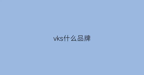 vks什么品牌(vkfkbison什么牌子)