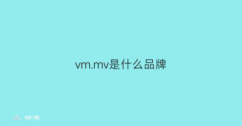 vmmv是什么品牌(vm是什么牌子)