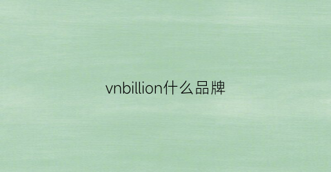 vnbillion什么品牌(vinbim是什么牌子)
