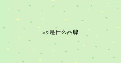 vsi是什么品牌(vsve是什么品牌)