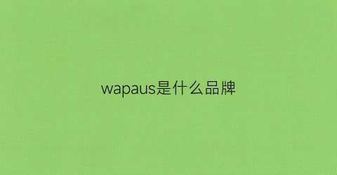 wapaus是什么品牌(wp是什么牌子)