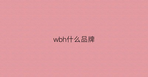 wbh什么品牌