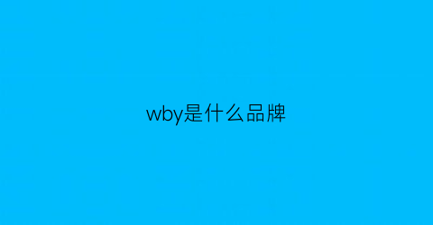 wby是什么品牌(wmb是什么牌子)
