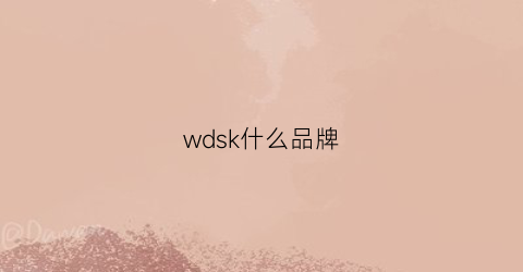 wdsk什么品牌(wdywt什么品牌)
