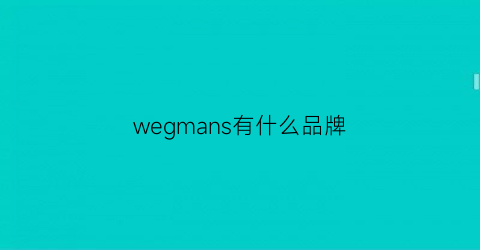 wegmans有什么品牌(weannew哪个牌子)