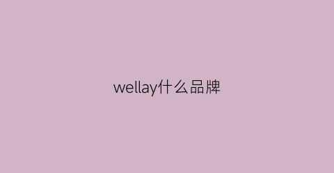 wellay什么品牌(wellday是什么牌子)