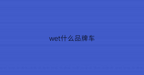wet什么品牌车(wey是什么车)