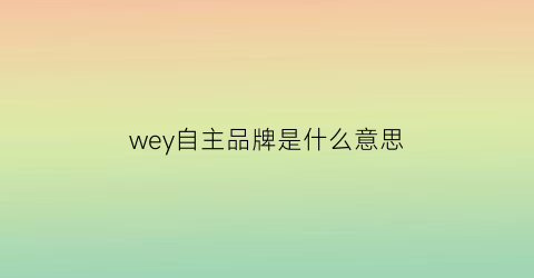 wey自主品牌是什么意思(自主品牌是什么意思啊)