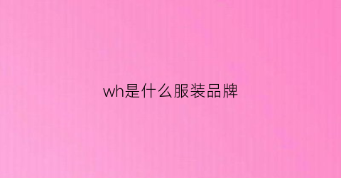 wh是什么服装品牌(whs是什么牌子的衣服)