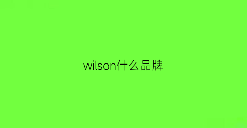 wilson什么品牌(wilson是什么牌子品牌)