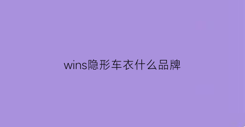 wins隐形车衣什么品牌(wins车衣价格)