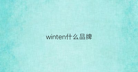 winten什么品牌(winwin是什么牌子)