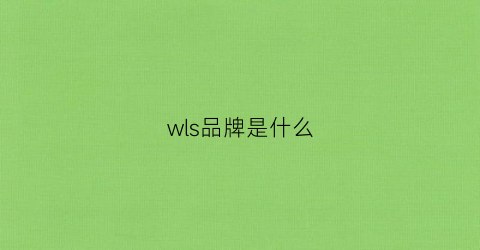 wls品牌是什么(wsl是什么牌子)