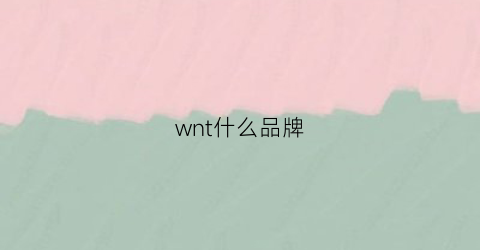 wnt什么品牌(wrt什么牌子)