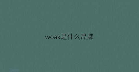 woak是什么品牌(wok是什么牌子)