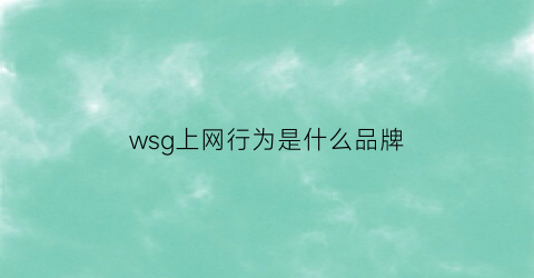 wsg上网行为是什么品牌(上网行为哪个品牌好)