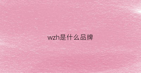 wzh是什么品牌(wrz是什么品牌)