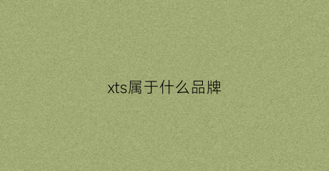 xts属于什么品牌