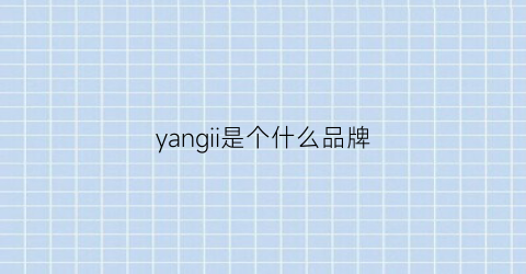 yangii是个什么品牌(youngsun是什么品牌)