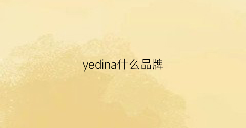 yedina什么品牌(ye是什么品牌)