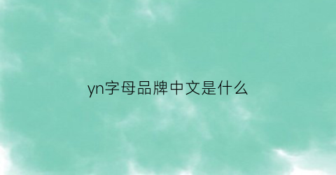 yn字母品牌中文是什么(yn是什么服装品牌)