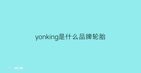 yonking是什么品牌轮胎(yonking是什么牌子轮胎)