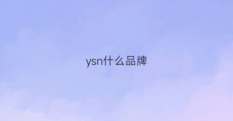 ysn什么品牌(yn是啥品牌)
