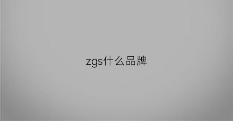 zgs什么品牌(zgr是啥品牌)