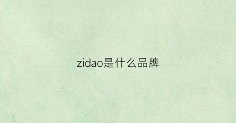 zidao是什么品牌(zidane是什么品牌)