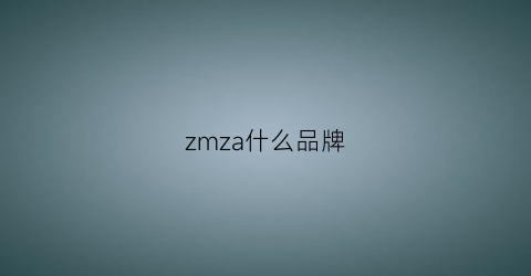 zmza什么品牌(zm啥牌子)