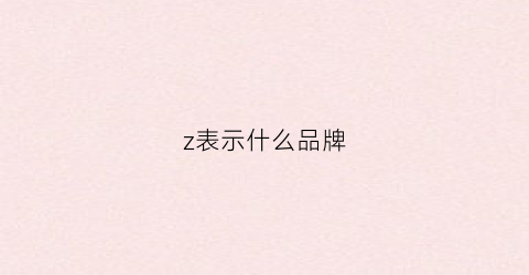 z表示什么品牌(z是哪里的品牌)